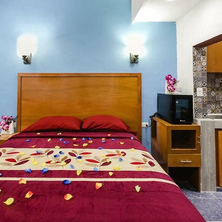 Suite Studio Serviced Apartments ميريدا المظهر الخارجي الصورة